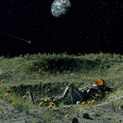 it's going to be okay alright