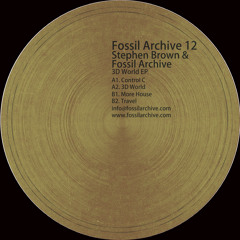 PREMIERE: Stephen Brown & Fossil Archive - More House [Fossil Archive]