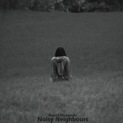 Dawid - Noisy Neighbours (Who Cares)