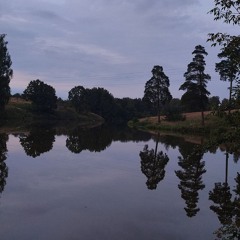 i left before i was left, but it still felt like losing (prod matthewburr)