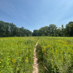guidemysteps
