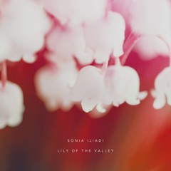 Lily Of The Valley