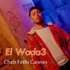 E Wada3