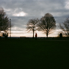 Cameo Blush - 25 October 2025