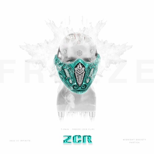 TPAIN - FREEZE (ZCR FLIP)