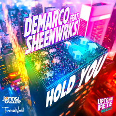 Hold You (feat. Sheenwrks)