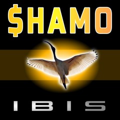 Ibis