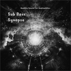 The Spectrum (Nadja Lind Remix)
