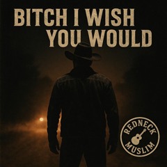 Bitch I Wish You Would .mp3