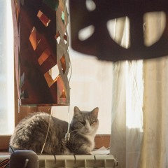 SunVox music. Best of November 2020