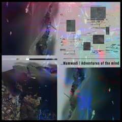 Mamwadi | Adventures of the mind EP | RER001 | Previews