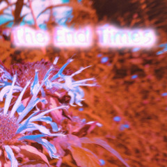 The End Times - High Ships! (1997 Tweecore)