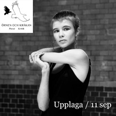 Evelina Stenbeck om Ellen Nordmark