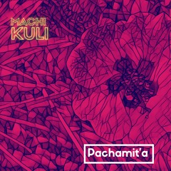 Pachamit'a