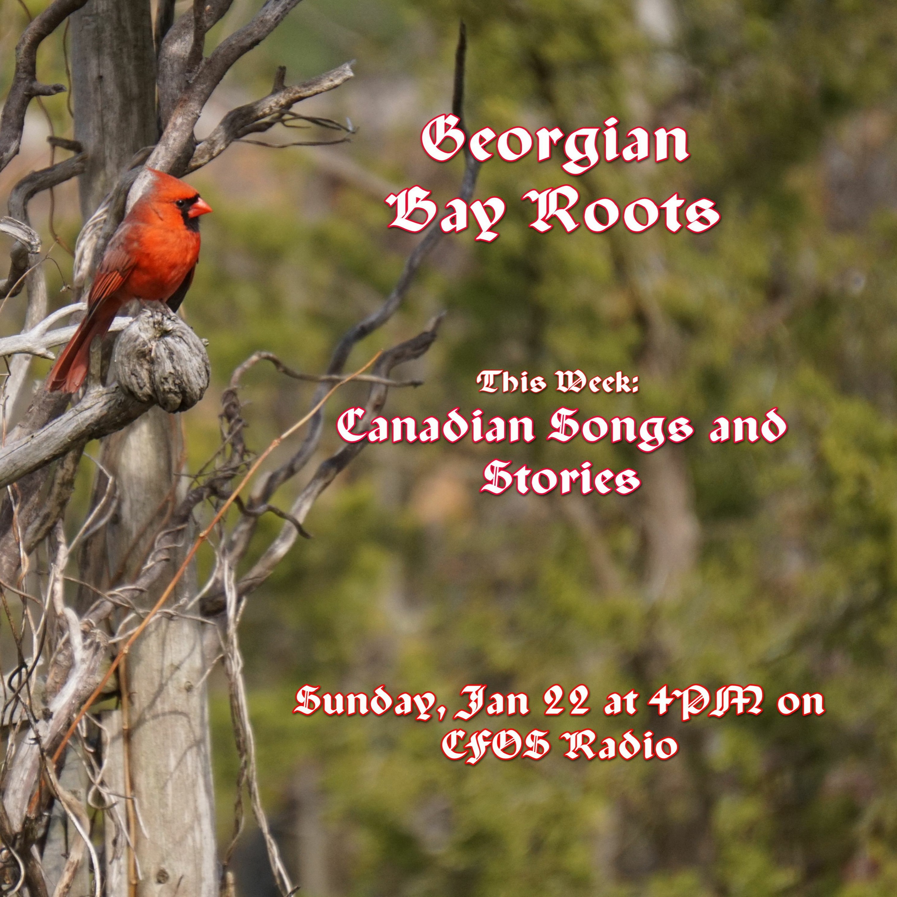 Georgian Bay Roots