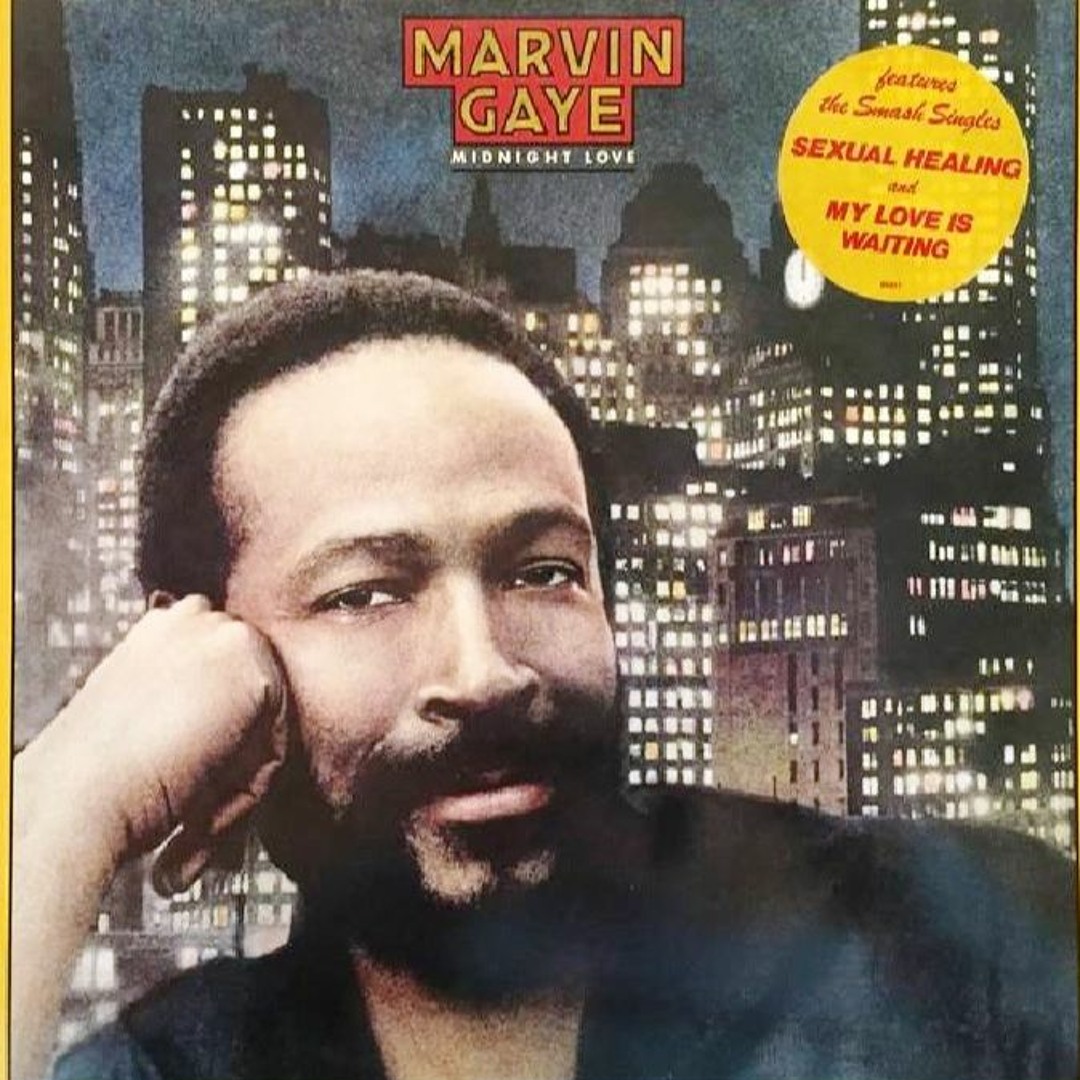 希少 レゲエ Marvin Gaye Sexual Healing Remix 🔲🔲MARVIN GAYE - SEXUAL HEALING [REGGAE REMIX LRB