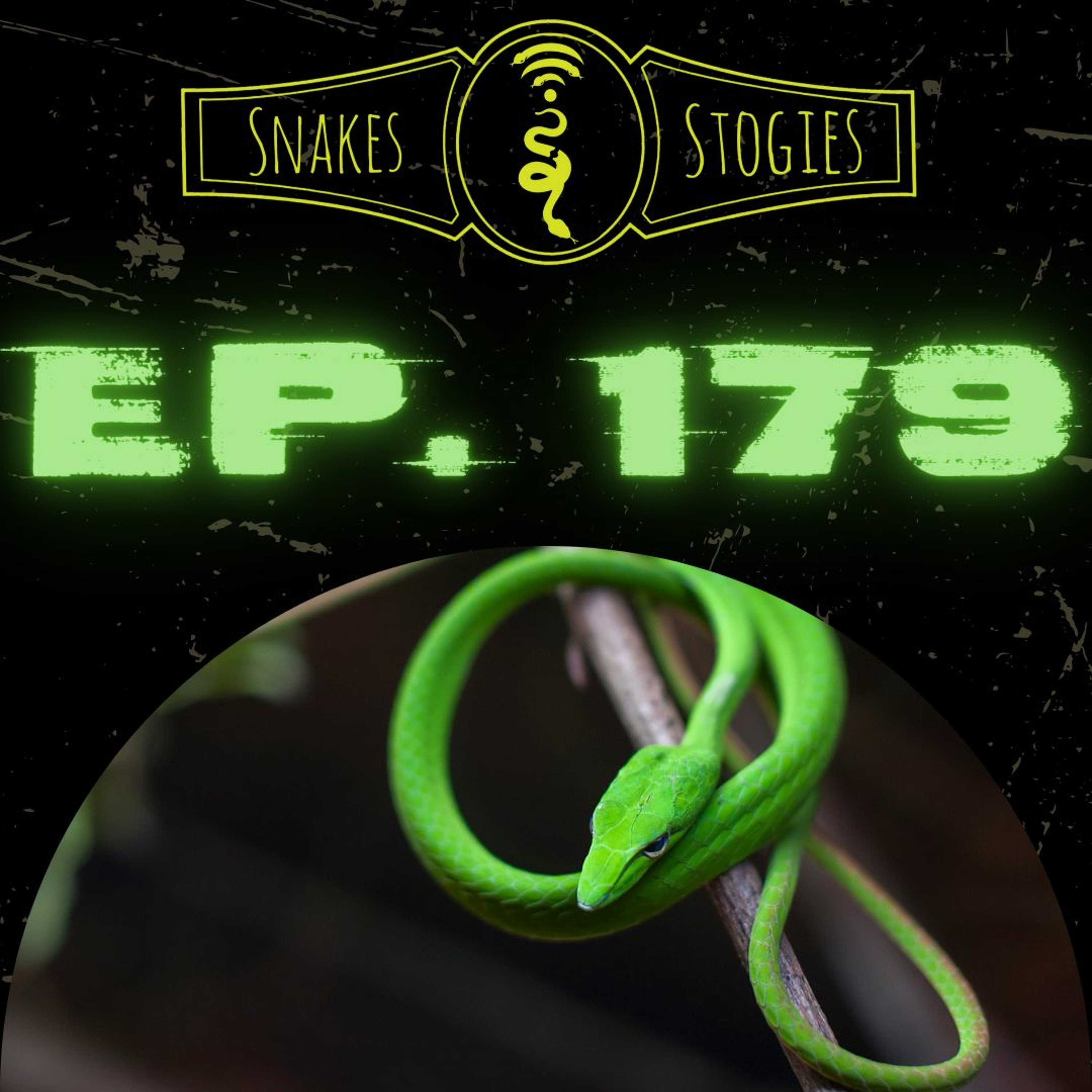 Snakes & Stogies Ep. 179