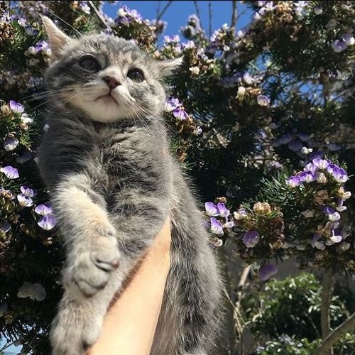 this time ft. victxrw (negative.creeper & blxty)