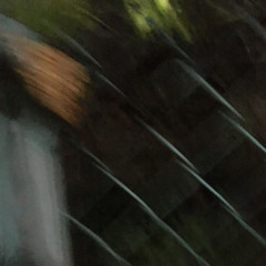 decora(yo la tengo cover)