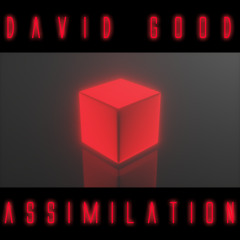 Assimilation