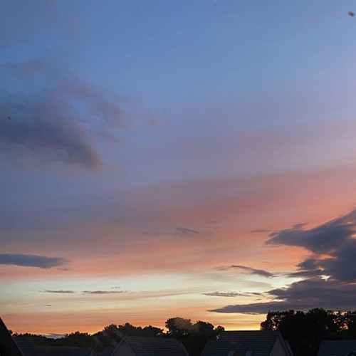 habits geniveve stokes