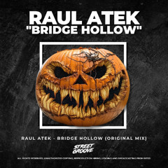 Raul Atek - Bridge Hollow(Extended Mix)