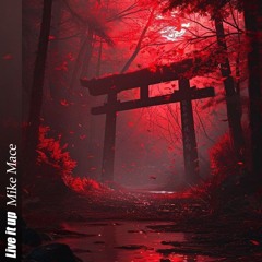 Mike Mace - Live it up