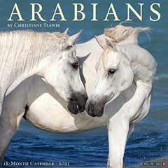 GET KINDLE PDF EBOOK EPUB Arabians 2021 Wall Calendar by  Willow Creek Press 📙