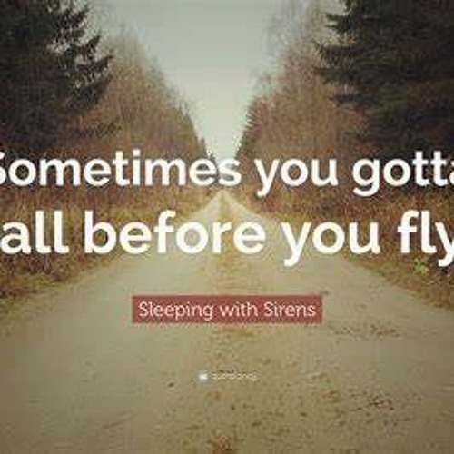 Gotta Fly