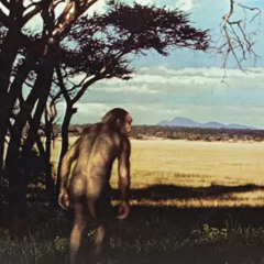 Eslabón perdido. - KAIRÓS