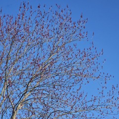 Everything Unfolding Perfectly