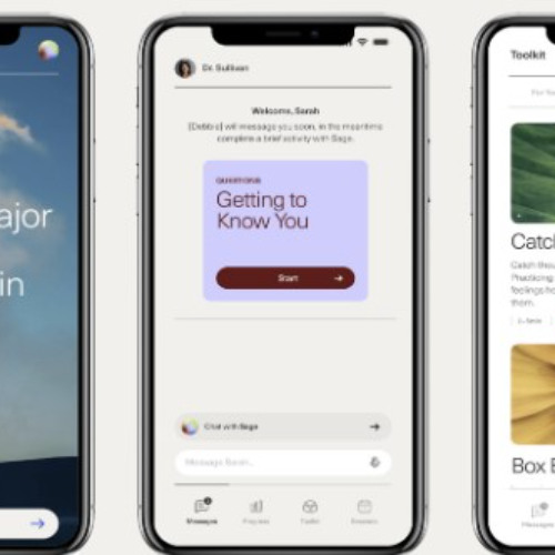 Bringing an AI virtual care assistant to therapy: Jimini