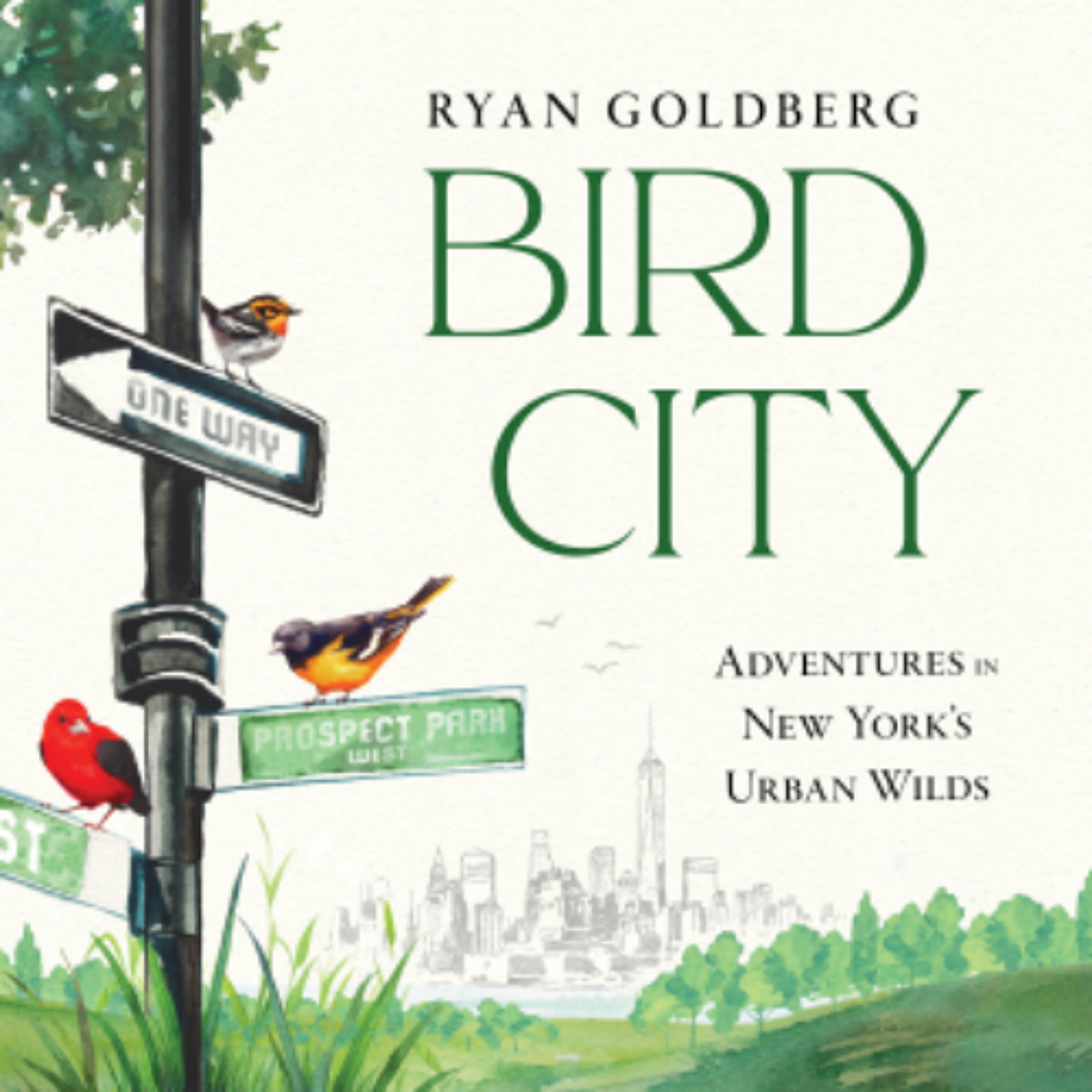 Bird City by Ryan Goldberg read by Evan Sibley episode artwork