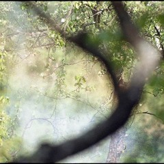 Reggae dub classics / Echo reverb remix / Dub sirens