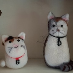 supercats