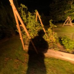 Limbo 082825