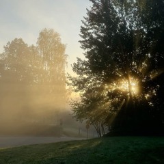 morning whispers.wav