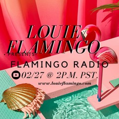 Flamingo Radio 2-27-21