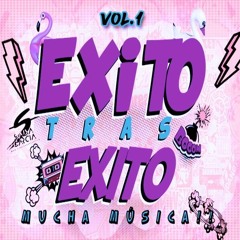 Exito Tras Exito - Pack Vol.1 (Dj Salva Garcia & Alex Melero 2020) Preview