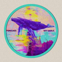 SKY WHALE.
