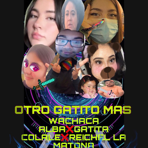 OTRO GATITO MAS
