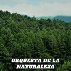Orquesta de la Naturaleza