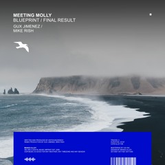 MEETING MOLLY Blueprint (Gux Jimenez Remix)