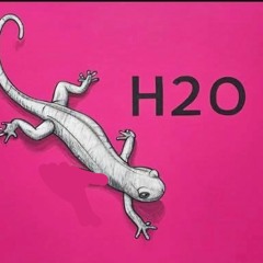 REMEMBER FUNKY HOUSE BY FRANCOIS FK [08.09.25]