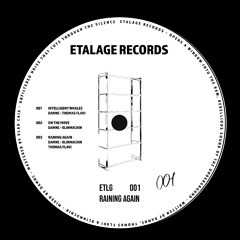 PREMIERE | DAMNC & Thomas Flavi - Intelligent Whales [ETLG001]