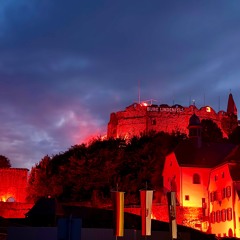 Michi's BurgfestBBQ 2025