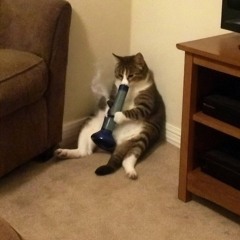 ARS Remix - The Night x Trouble Is A Friend