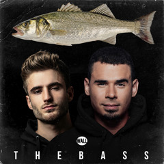 Chico Rose & Afrojack - The Bass