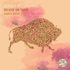 Marco Bedini-Believe On Them Snippet