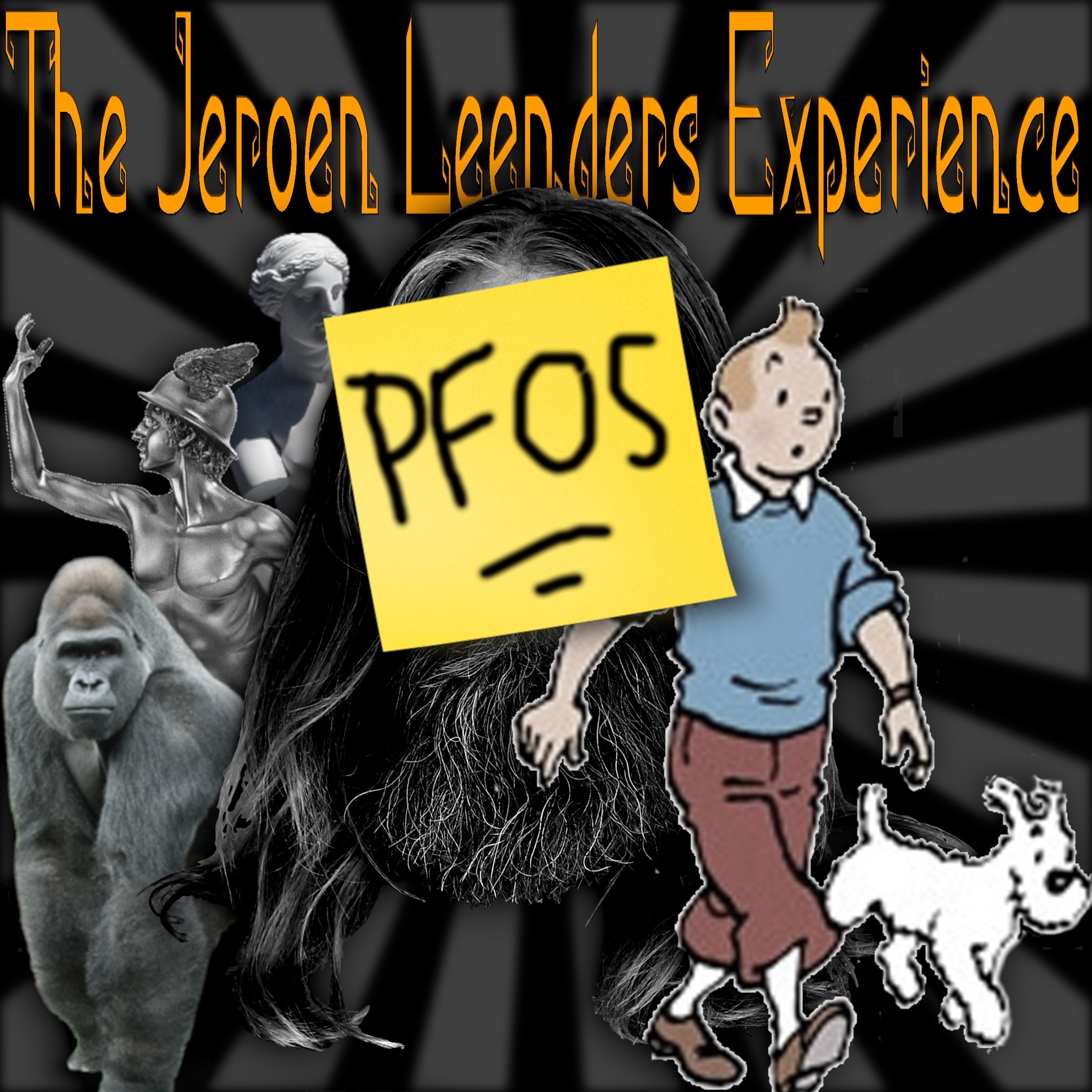 Jeroen Leenders Experience